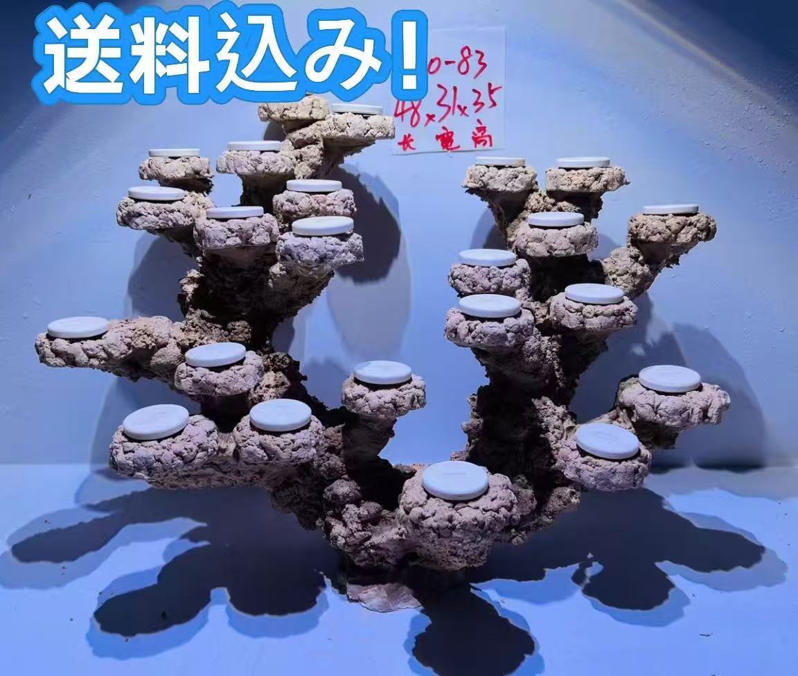 ライブロックセット 多孔質 人工 大きさ：横48cm 高さ35cm 奥31cm（海水魚、サンゴ、バクテリア、背景、レイアウト、水槽）