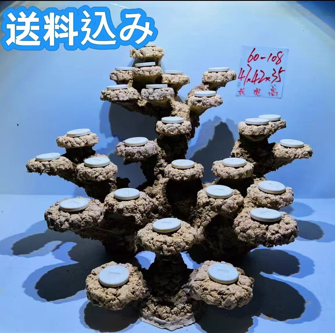 �������ѡ�SALE��P10��+�����ݥ�ͭ���饤�֥��å����å� ¿���� �͹� �礭������47cm �⤵35cm ����42cm�ʳ���������󥴡��Х��ƥꥢ���طʡ���...