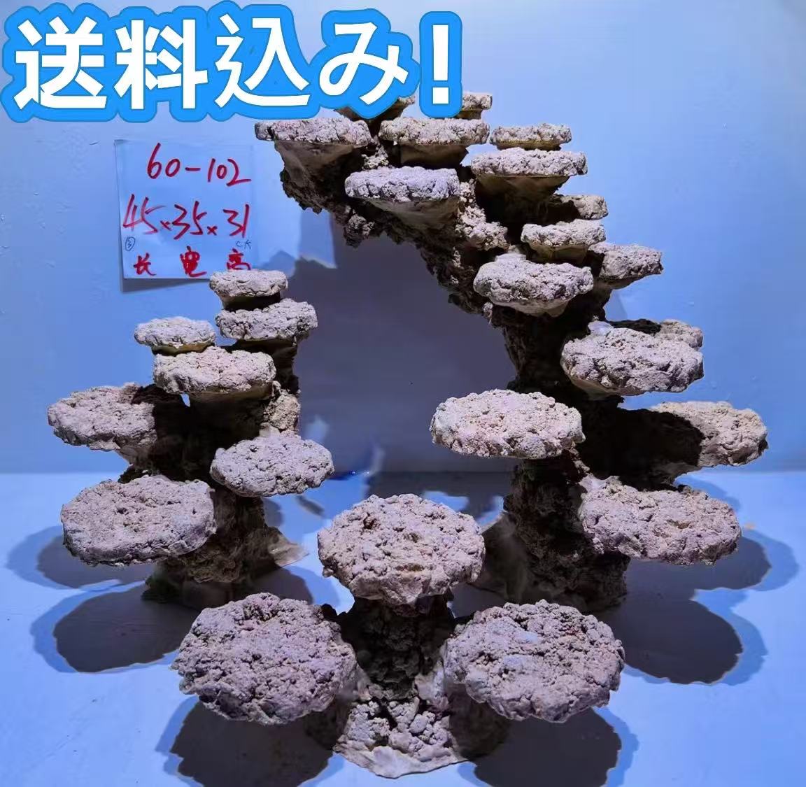 【P10倍+クーポン有！マラソン】ライブロックセット 多孔質 人工 大きさ：横44cm 高さ34cm 奥41cm（海水魚、サンゴ、バクテリア、背景、レイアウト、水槽）