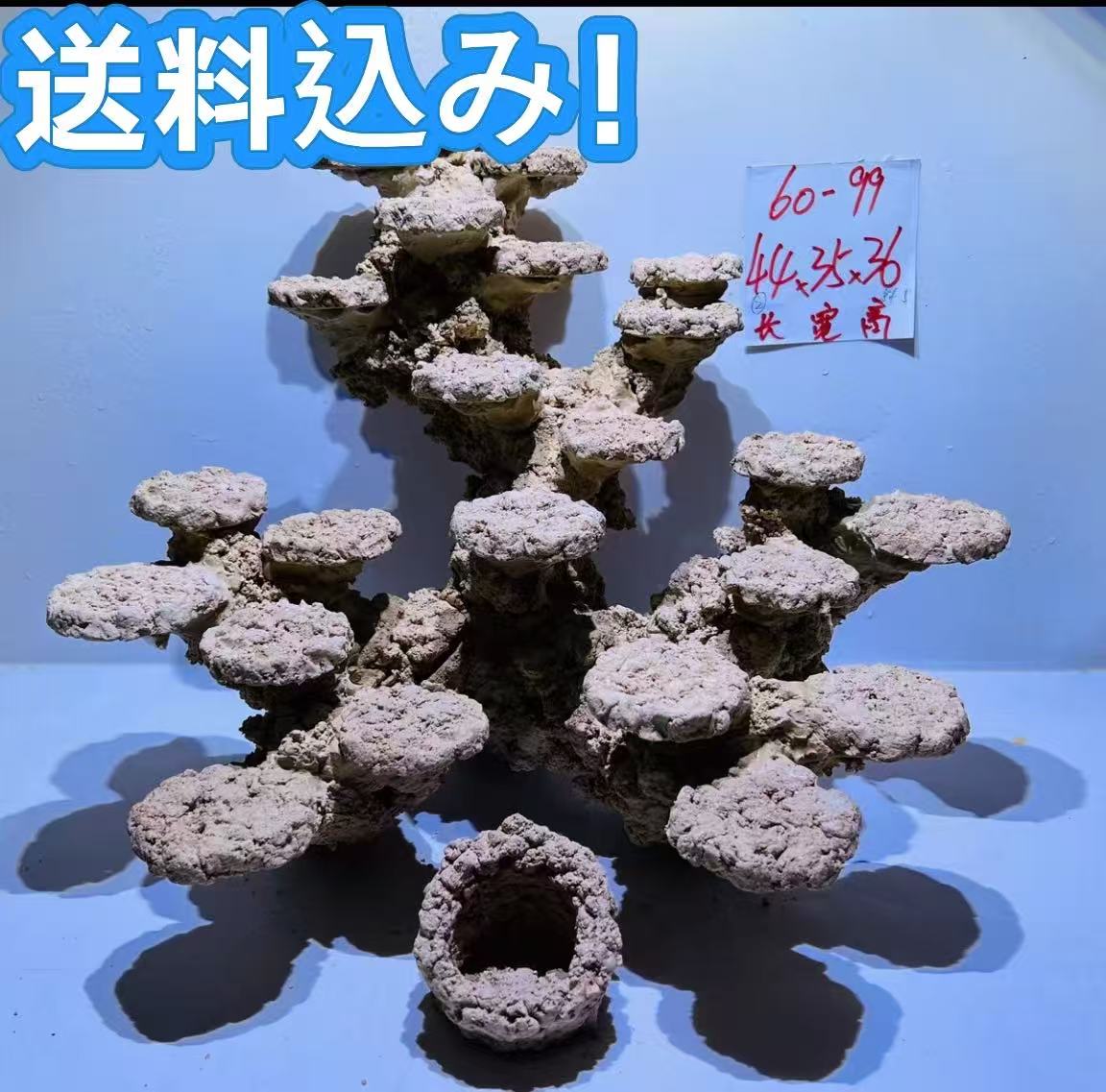 人工ライブロック BG10 40×27×28 アク抜き済み安心塗料使用 楽天市場】ライブロック 3kg（水槽・アクアリウム｜熱帯魚