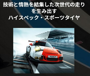 ミシュラン パイロットスポーツ4S 315/30R21 新品タイヤ 4本セット価格 最先端のテクノロジー ハイスペックスポーツタイヤ 315/30-21 MO1