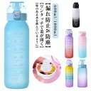 カロリー0 1000ml スポーツ 600ml スポーツ水筒 ドリンクボトル フレーバーカプセルなし 水筒 味が変わる水筒 味が変わる水筒 ウォーターボトル スポーツボトル 大容量 ワンタッチ ランニング エアアップ ジム フィットネス 学校 旅行 糖質0 ダイエット ギフト 子供 子ども
