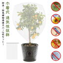 園芸用ネット 植物保護カバー 防虫ネット 鉢植え用 防鳥ネット 植物保護カバー プランター 網 2枚セット ベランダ 植物保護袋 菜園 果樹園 みかん 鳥よけ ...