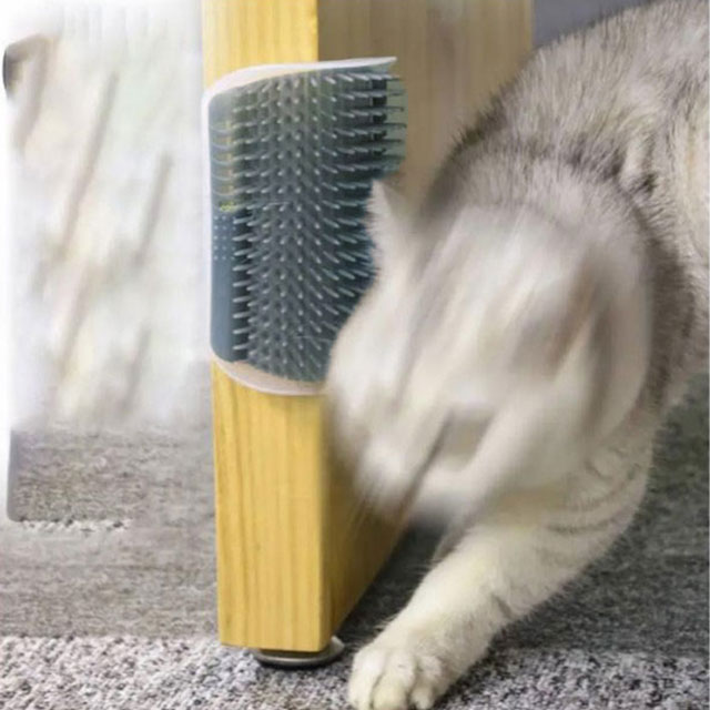 ǭ�֥饷 ǭ�ѥ֥饷 �ڥåȥ֥饷 �ͥ� ǭ����� �ޥå������֥饷 ������� ȴ���Ӽ�� �Ӷ̼��֥饷 �ڤ߻ߤ� �֥饷 ǭ�� �� ���ꤹ�� ǭ�����ʡ��ޥå����� ǭ������� ����å� ����եޥå����� ��� �ޥå��������å� ������OK �������� �ڥå����� ����̵��