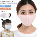 夏用マスク 2枚入 ひんやり マスク 洗える メッシュ 冷感 クール 通気性 夏用 男女兼用 子供用 薄手 UVカット 紫外線対策 接触冷感 シンプル 日焼け防...