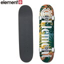 22SS ELEMENT コンプリート スケートボード MONSTERA COMP 8 BC027-411: : 正規品/BC027411/エレメント/ストリー...