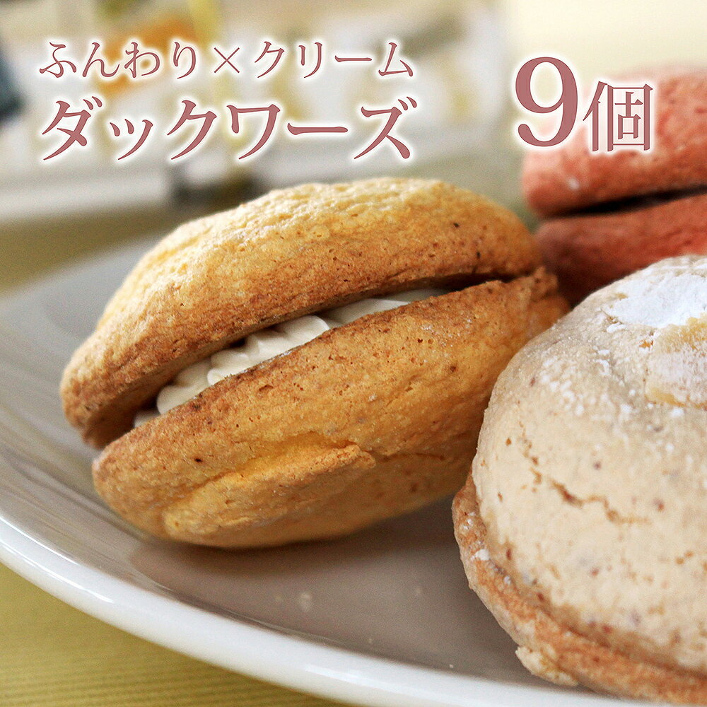 ダックワーズ(9個)