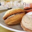 9個 *ダックワーズ ふわふわ シンプル 焼き菓子 ダクワーズ ギフト ご褒美 いちご 抹茶 アーモンド バニラ レモン クリーム