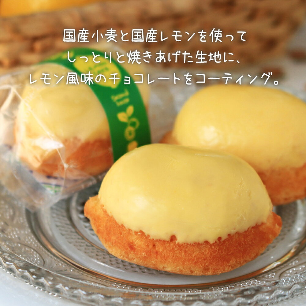 京都手作りレモンケーキ（12個）