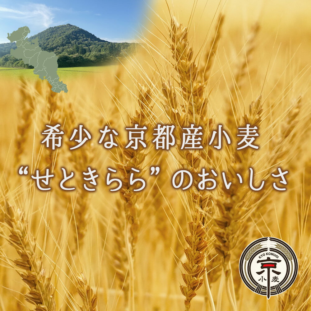 【すぐ届く】カステラ 京都 お取り寄せ 手土産...の紹介画像2