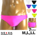 メンズビキニパンツ レディースパンツ ノーシームブリーフ 水着光沢 ストレッチ生地 ユニセックス下着 Mサイズ Lサイズ LLサイズ
