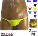 ビキニ ユニセックス 極小 ノーシーム バインダー スキン生地 Mサイズ