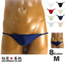 ユニセックスビキニ ローライズ ノーシーム ヒモパンツ 光沢ナイロン2WAY生地 Mサイズ