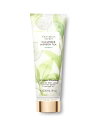 BNgAV[NbgVICTORIA'S SECRETL[Jo[ & O[eB[Cucumber & Green Tei`r[eB[tOX[VNatural Beauty Fragrance Lotion