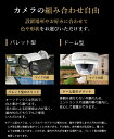 PoE給電カメラ 防犯カメラ 屋外 PoE 監視カメラ 留守 800/500/400万画素 家庭用 遠隔監視 スマホ マイク内蔵 防水 IPカメラ 屋内 国内サーバー 送料無料 LAN 有線 PX84(A) PX85(A) PX88(A) PX34 PX35 PX38 3