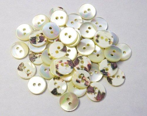 ںǹ1.8mmۡܥ󡡤ޤʿ鷿SH-1120 10mm 50ĥåȡ¿