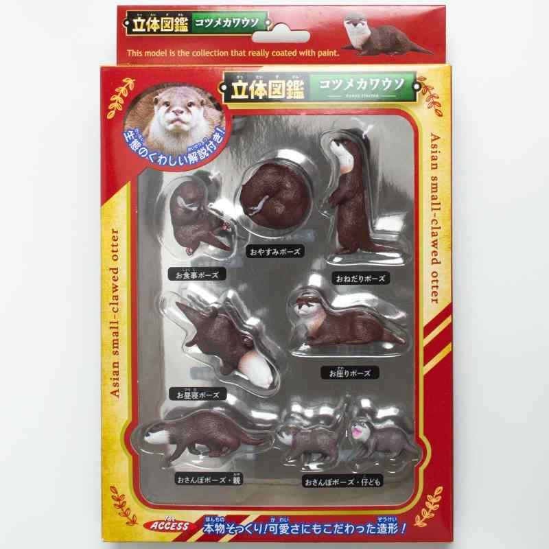 ザ・アクセス フィギュア カワウソ 立体図鑑 動物 水族館 おもちゃ