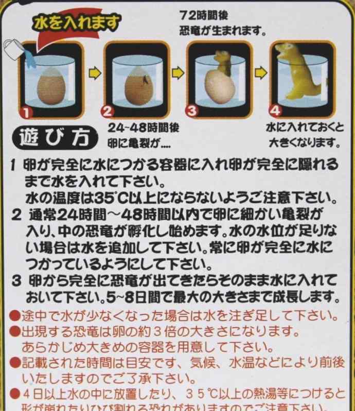 水に入れるとたまごから恐竜が びっくりたまご 恐竜 206-667 3
