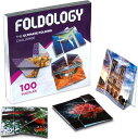 FOLDOLOGY 折り紙パズルゲーム FY01 正規品(3)