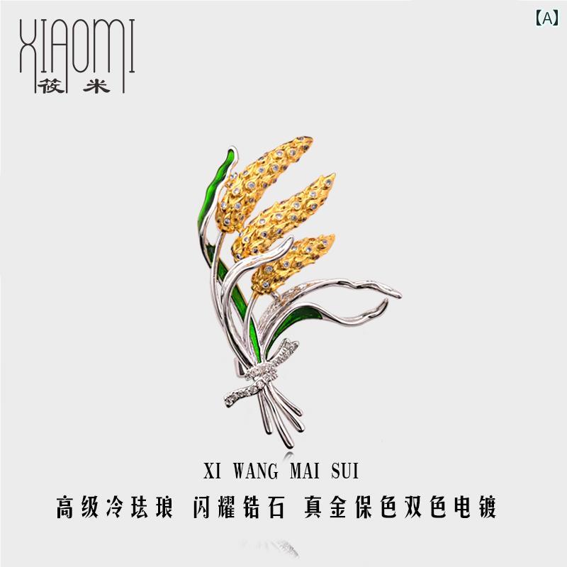 ꡼ ֥ ´ȼ ؼ   ԥ ϥ    ʪ ꡼  