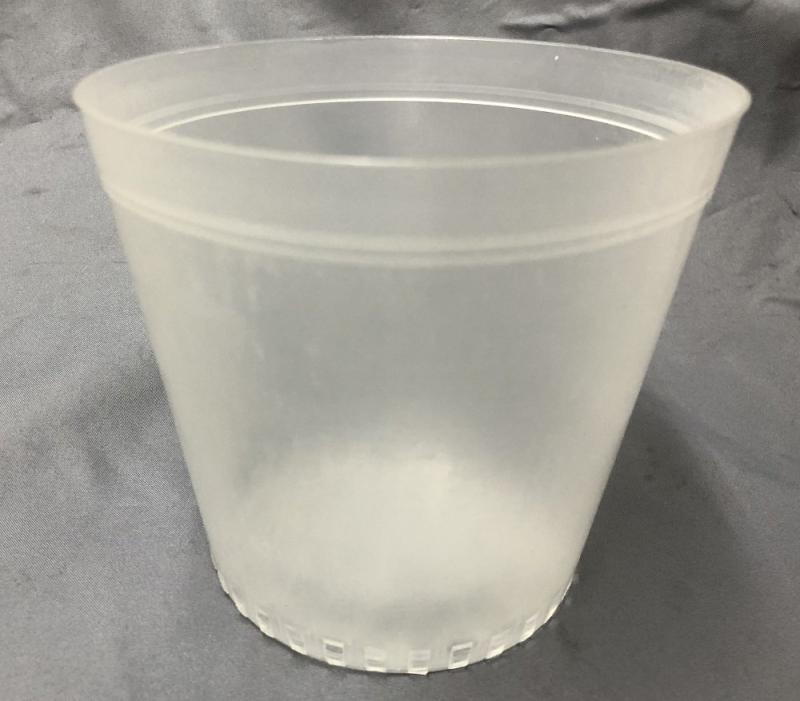 半透明 プラ鉢 12cm 10個