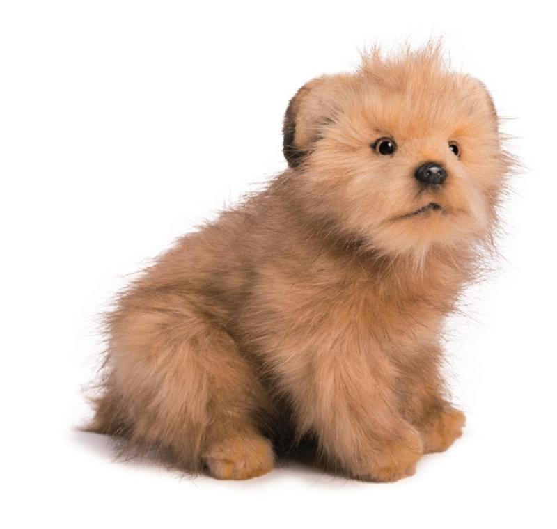 HANSA ノーフォークテリア No.4126