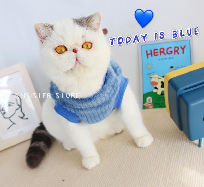 ペット品 洋服 ワンちゃん 猫ちゃん おしゃれファッション ソリッドカラー ペット 猫服 ノースリーブ 暖かい ベスト 冬 犬 裏起毛 英国 ショート ベスト