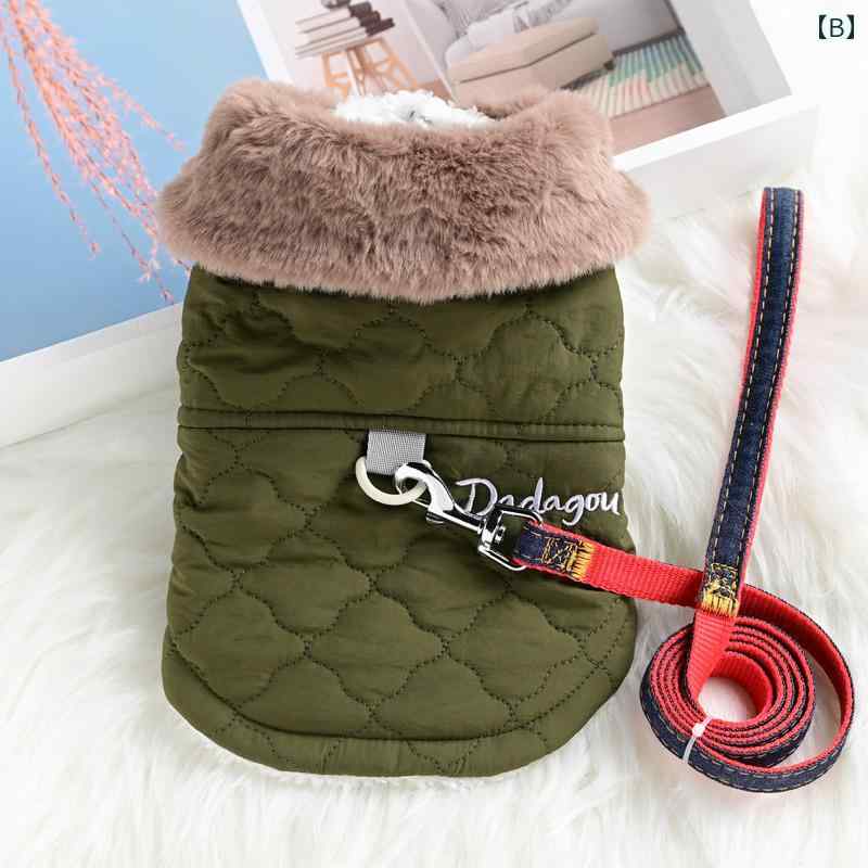 �ڥå� ������ �� �� ���� �٥��� �� ������ ��� �ե����ζ� ���� �Ȥ��� �����奢��