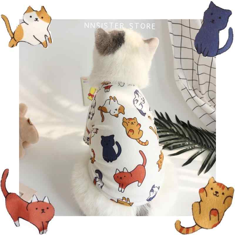 ペット品 洋服 ワンちゃん 猫ちゃん おしゃれファッション 猫庭 かわいい 春秋 綿 柔らかい ストレッチ 二本足 Tシャツ 子猫 服 薄手 犬 テディベア