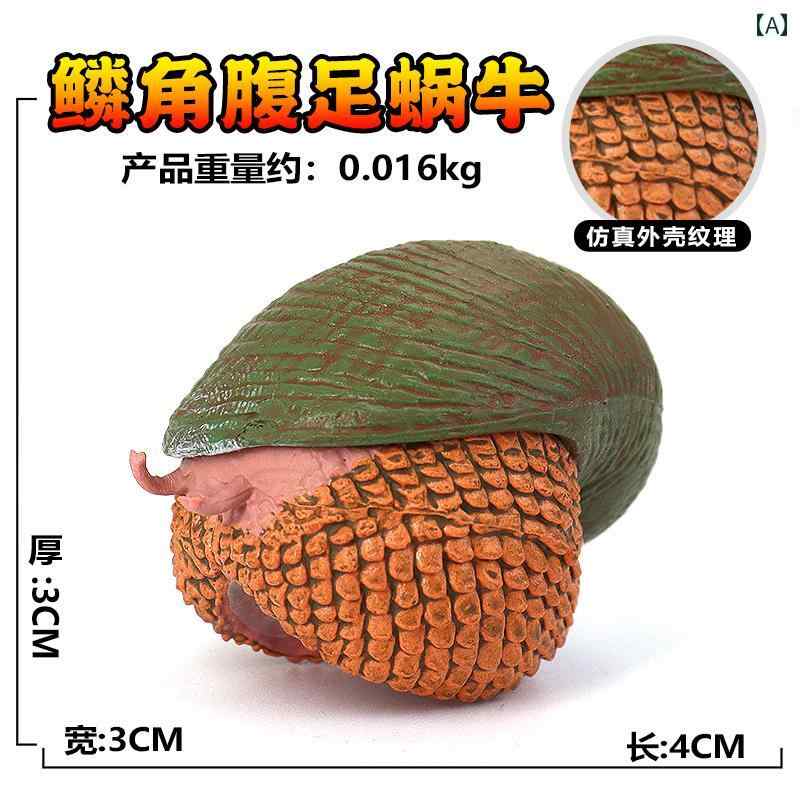 カタツムリ カブトガニ 三葉虫 オウム 海洋生物 フィギュア 模型 おもちゃ ホビー ...