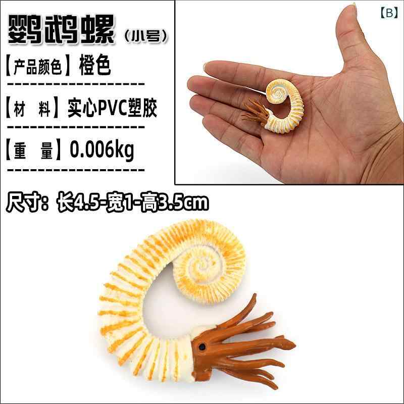 カタツムリ カブトガニ 三葉虫 オウム 海洋生物 フィギュア 模型 おもちゃ ホビー ...