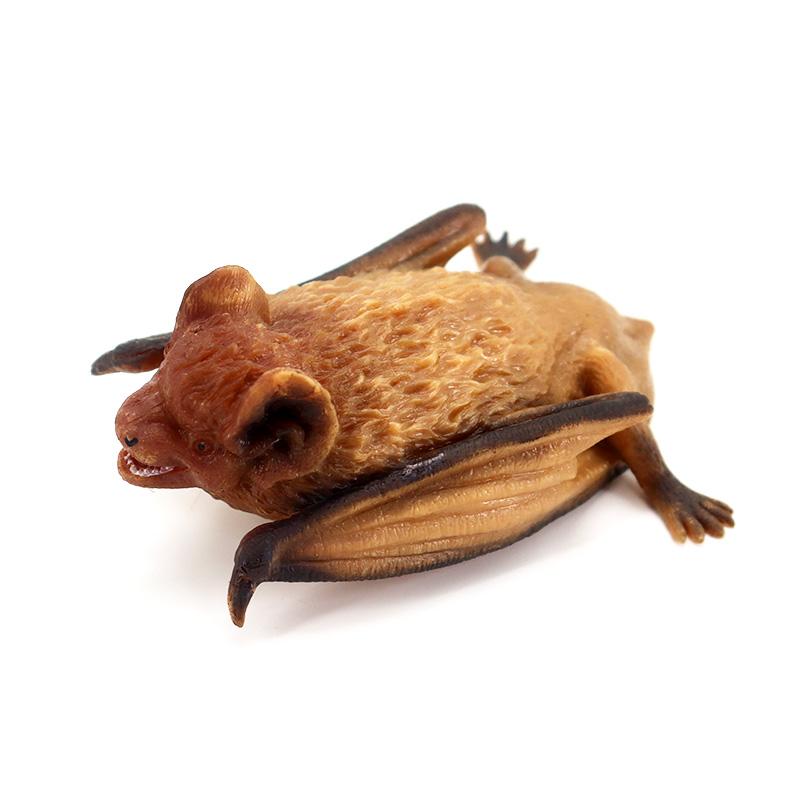 昆虫 フィギュア 模型 おもちゃ ホビー 人形 コレクション インテリア ミニチュア リアル ソフトラバー 教育 蝙蝠 シリコン バット 動物 子供 ギフト