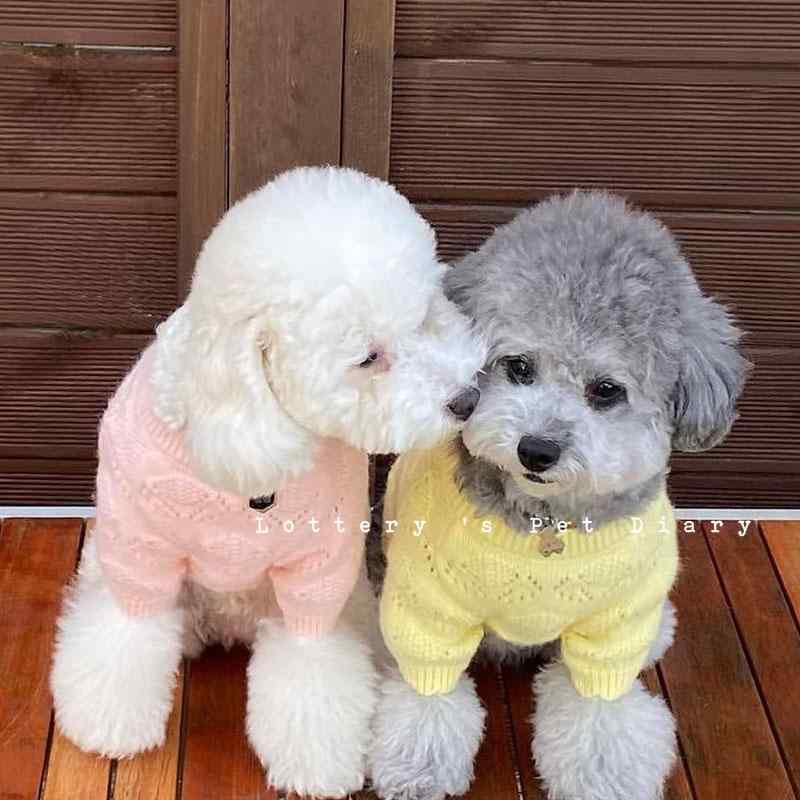 ドッグ ウェア 犬 猫 小型犬 チワワ ビション テディ ポメラニアン 服 プリンセス 起毛 セーター ニット 秋冬 暖かい カジュアル かわいい
