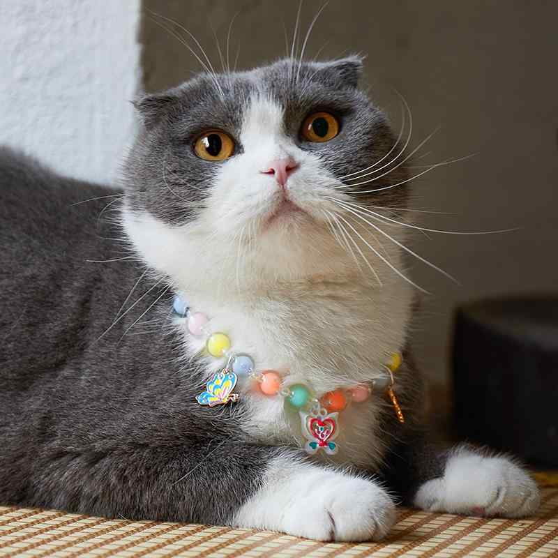 ネックレス 犬猫 ペット品 おしゃれ ペット パール 猫 犬 カラー 首輪 ネック スカーフ ペンダント ジュエリー かわいい アクセサリー