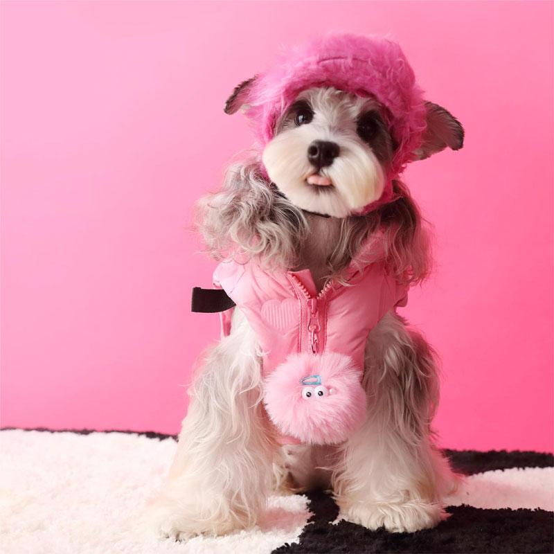 ペットグッズ 犬 ウェア 犬猫服 ジャケット 服 かわいい ベスト 暖かい 衣装 厚手 室内 散歩 外出 ルーム 室外 秋冬 小型