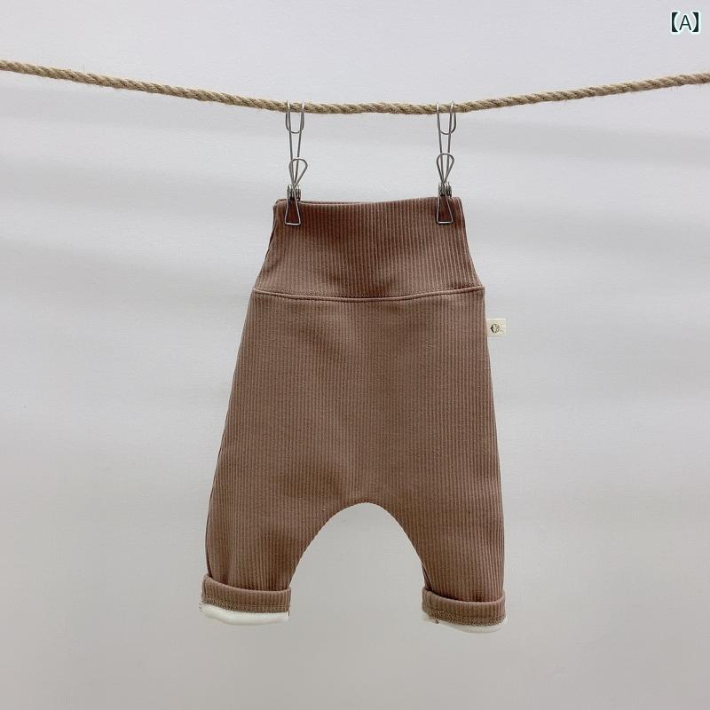 �٥ӡ��� �ѥ�� �ե꡼�� �Ȥ��� ��˥��å��� ���� ���襤�� ���塼�� ���ե� �٥ӡ��� �Ҷ���