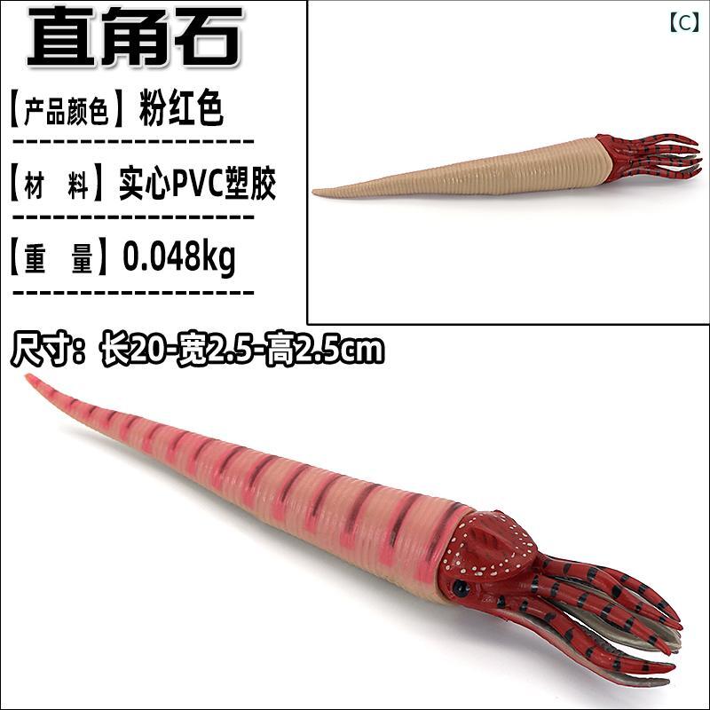 セキュアデポのカブトガニ 三葉虫 オウム 海洋生物 フィギュア 模型 おもちゃ ホビー 人形 コレクション インテリア ミニチュア リアル シミュレーション チック｜アングル3