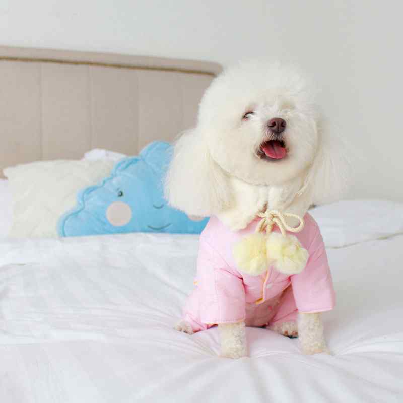 ドッグ ウェア ペット服 犬 猫 小型犬 チワワ ビション テディ 服 秋冬 コート コットン 厚手 暖かい ..