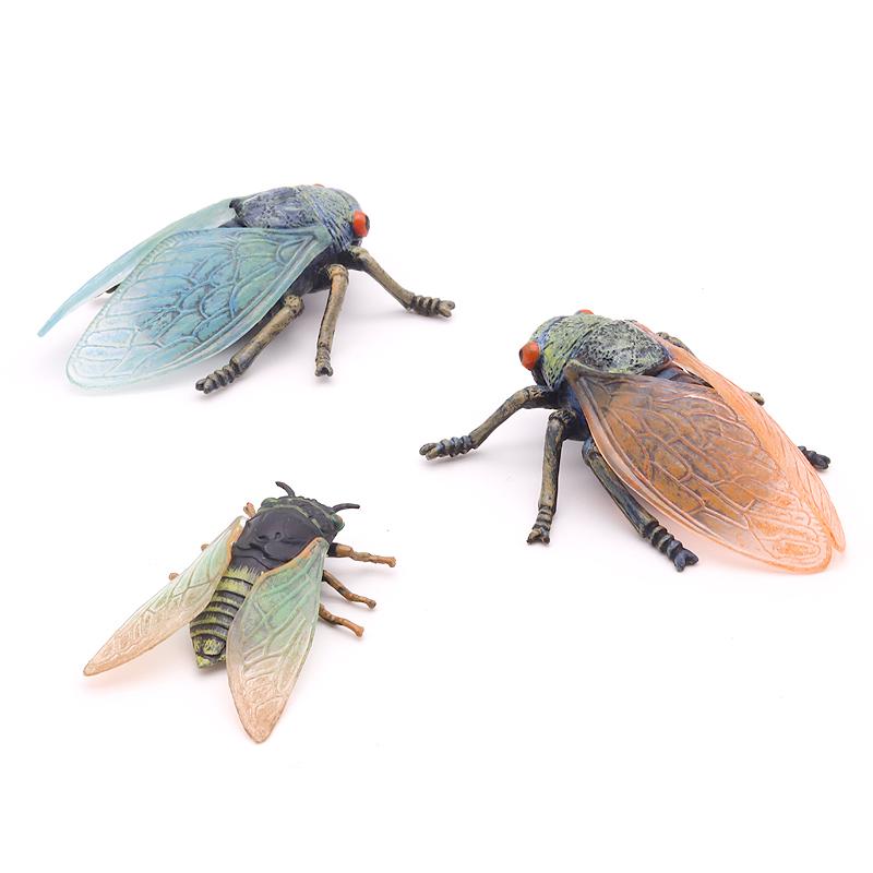 奢ǥݤ㤨֥  ե奢 Ϸ  ۥӡ ͷ 쥯 ƥꥢ ߥ˥奢 ꥢ ߥ졼  Ҷ  ǥץ쥤 ץ쥼ȡפβǤʤ4,794ߤˤʤޤ