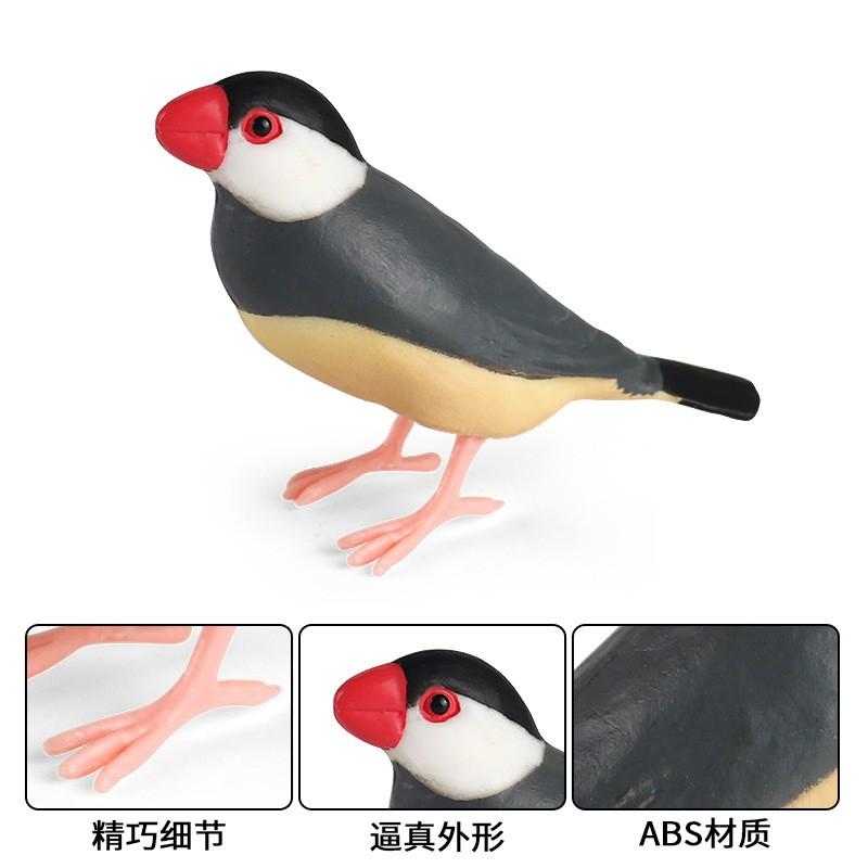 鳥 フィギュア 模型 人形 おもちゃ ホビー ガーデニング オーナメント バード コレクション インテリア ミニチュア プレゼント 子供 科学 教育 シミュレーション 動物 文鳥 かわいい
