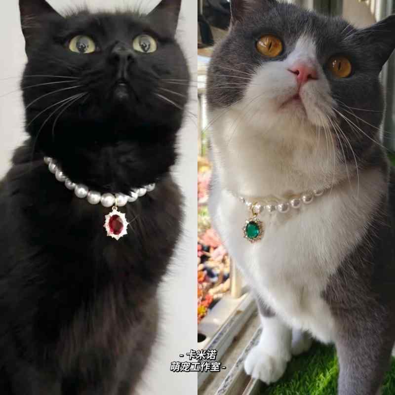 �ͥå��쥹 ��ǭ �ڥå��� �������ե��å���� ǭ ���� �ڥå� ��ǯ £��ʪ �饰�ɡ��� ǭ �ɥ��� �ۥ륿�� �̿��Ǥ�