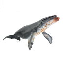 ザトウクジラ 海洋生物 フィギュア 模型 おもちゃ ホビー 人形 コレクション インテリア ミニチュア リアル 動物 チック 子供 ギフト 教育