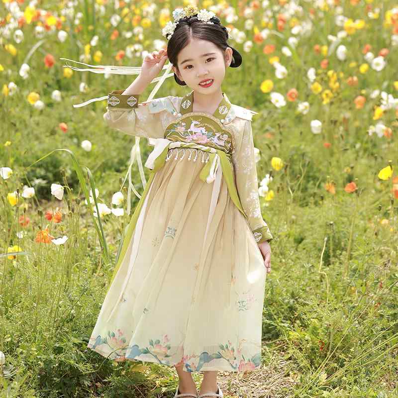 한복 여자 여름 복고풍 의상 스커트 요정 우아한 중국 스타일 자수 꽃 신 슈퍼 드레스 중국 스타일 아이 패션