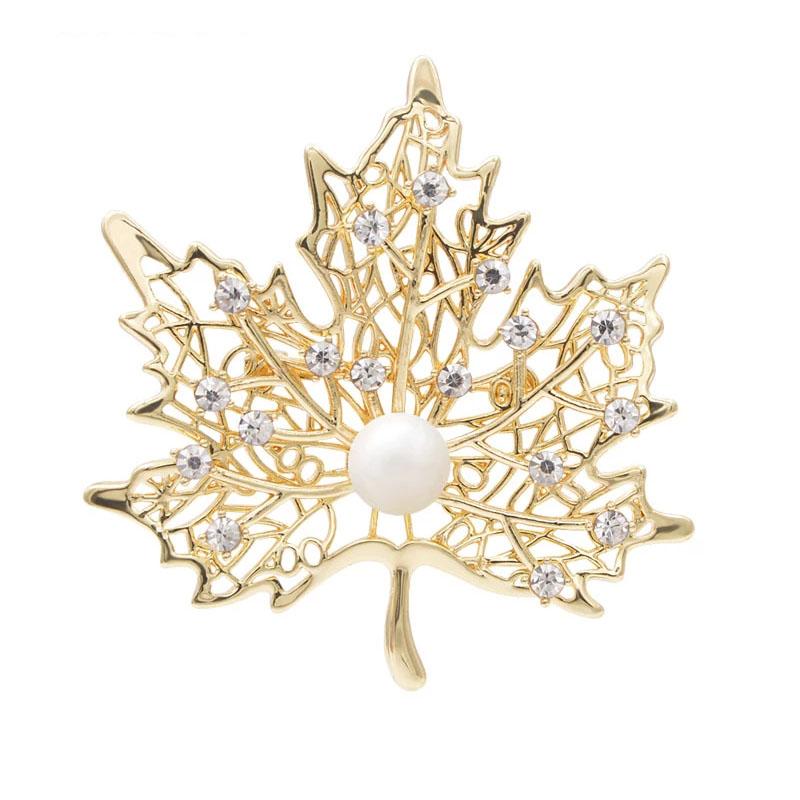  ǥ ֥ ´ȼ ؼ  쥬 礭   ե ⥫顼   