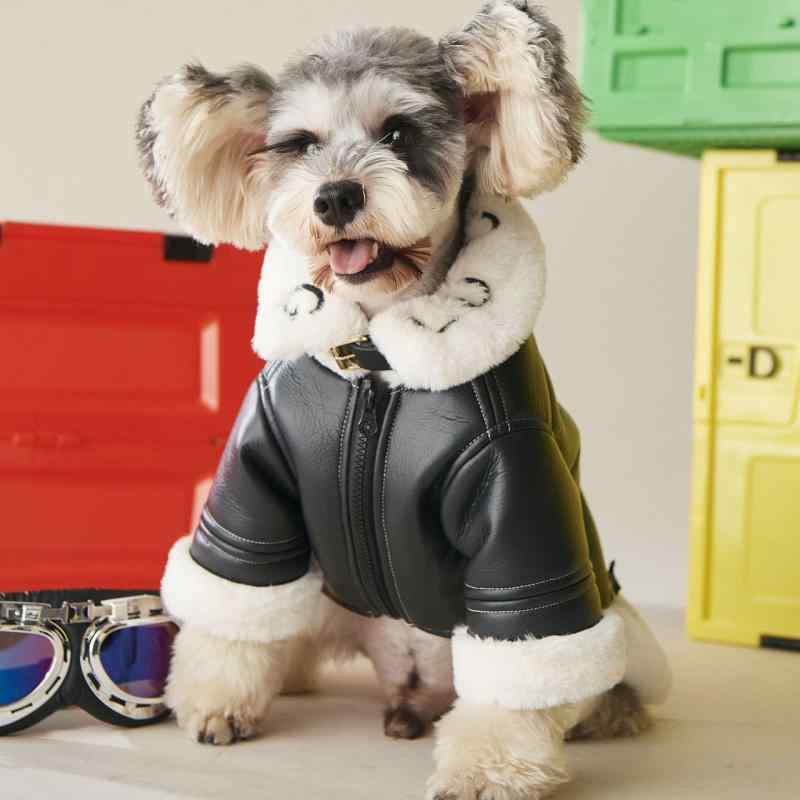 ドッグ ウェア ペット服 犬 猫 小型犬 服 秋冬 暖かい ジャケット コート PU カジュアル 裏起毛