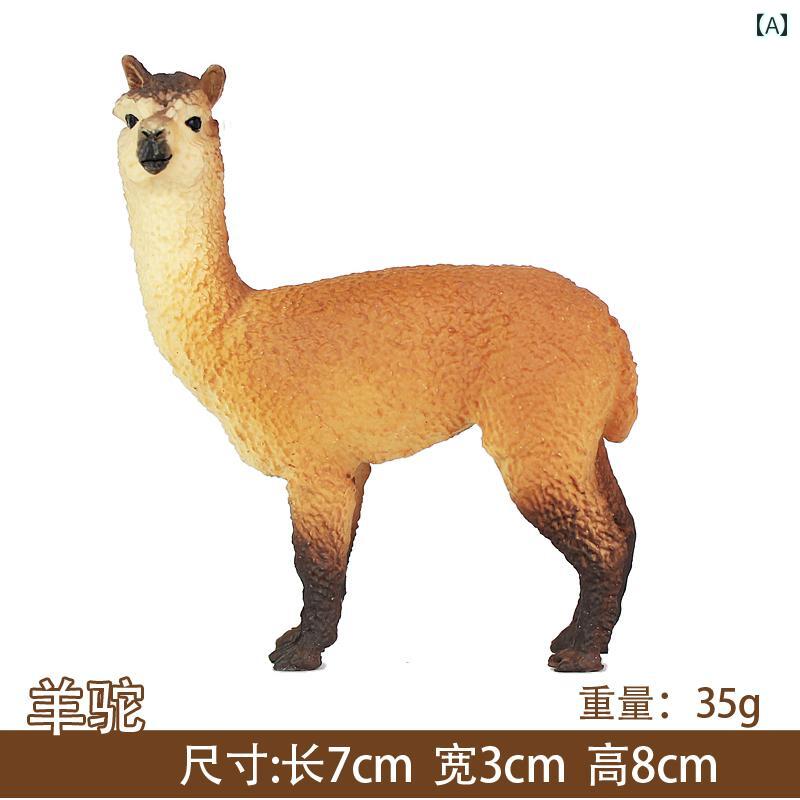 野生動物 生物 世界 フィギュア アルパカ おもちゃ 装