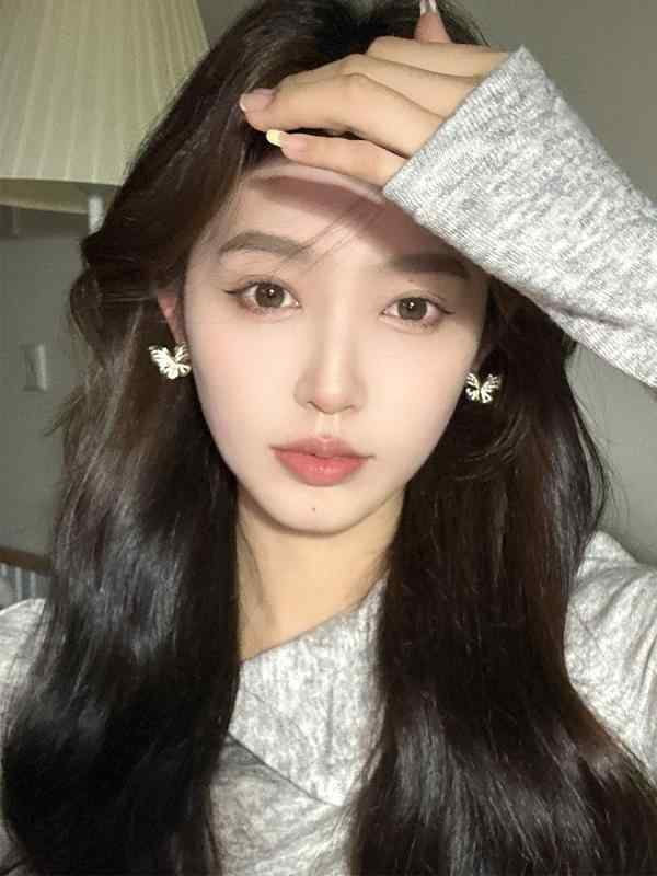 アクセサリー レディース ピアス かわいい イヤリング エレガント 精巧 ジルコン バタフライ 女性用 フレンチ レトロ ユニーク