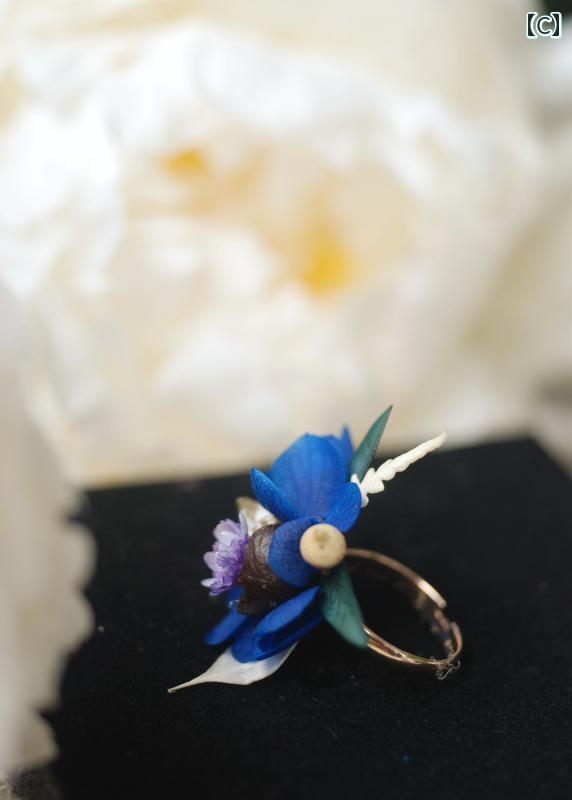 アクセサリー ブローチ ヘアピン ヘアアクセサリー 指輪 フラワーリング エターナルフラワー ホワイトデー ギフト レディース ファッション小物