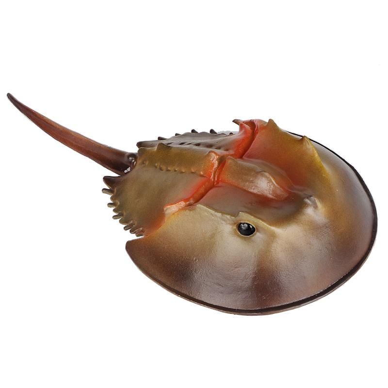 カブトガニ 海洋生物 フィギュア 模型 おもちゃ ホビー 人形 コレクション インテ...