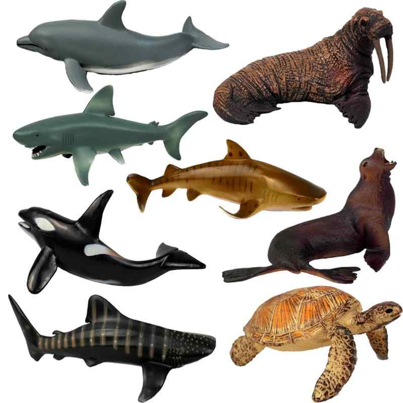 カメ クジラ セイウチ 海洋生物 フィギュア 模型 おもちゃ ホビー 人形 コレクション インテリア ミニチュア リアル 子供 プレゼント 教育
